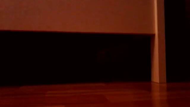 МОИ ПРИЧЕСОНЫ 3 ПРИЧЁСКИ И 1 АКССЕСУАР смотреть онлайн