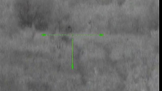 Кабан и лось попали на причел на лабазе. смотреть онлайн