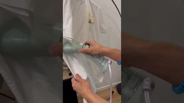 Conair Power Steam Handheld Travel Garment Steamer for Clothes смотреть онлайн