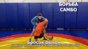 Бросок бычок. Борьба самбо.