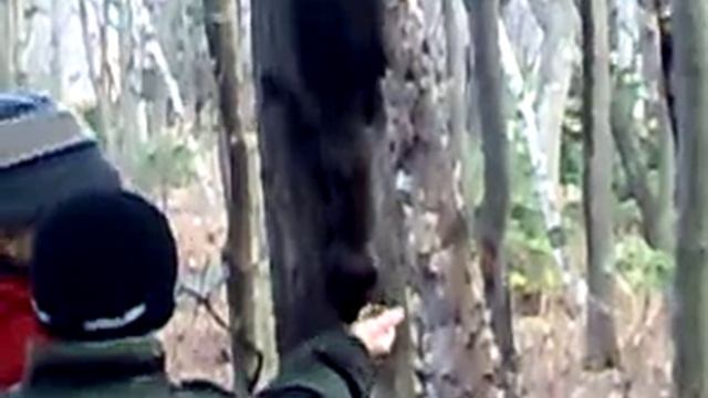 Питаются белки смотреть онлайн