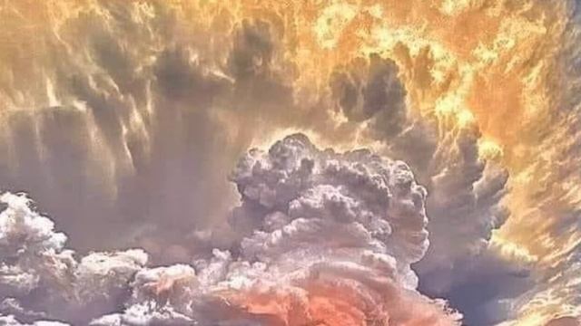 Праздник жизни смотреть онлайн