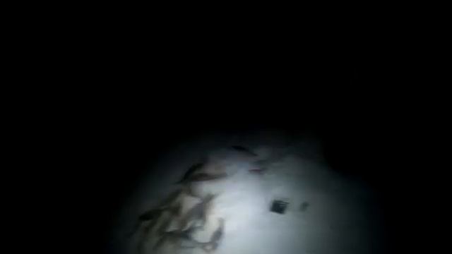 Зимняя рыбалка на Балхаше. ЗИКА, 01-04.02.2020г смотреть онлайн