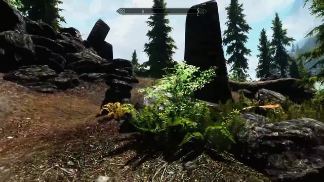 Skyrim Ultra Realistic Graphics Mods on GTX 670 смотреть онлайн