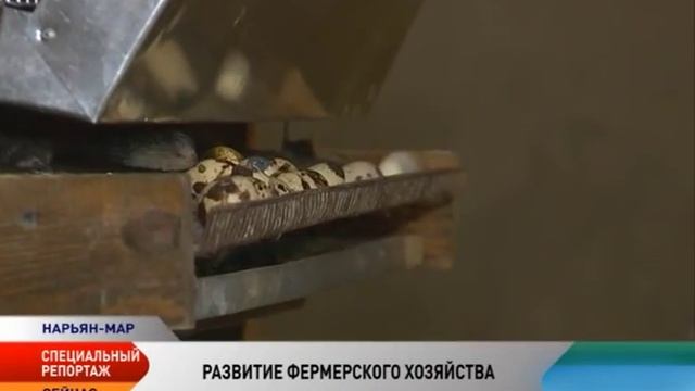 Гранты на сельское хозяйство смотреть онлайн