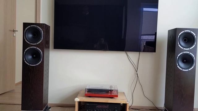 Fyne Audio F502 (queens Of The Stoneage)