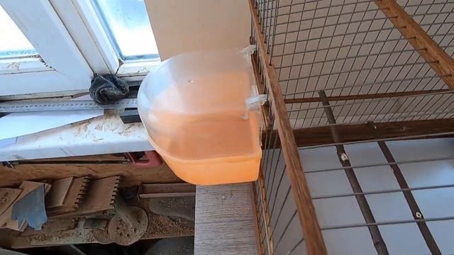 Клетка для паровки канареек (разводная клетка) смотреть онлайн