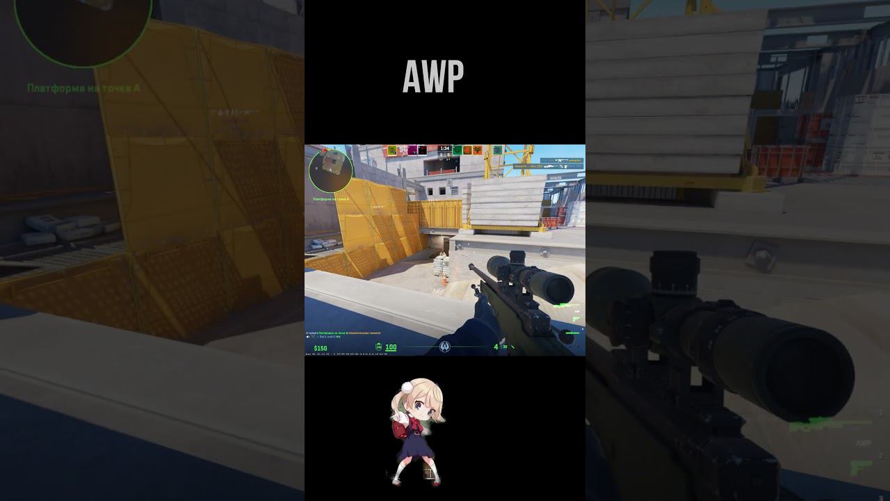 awp VS scout #cs2 #cs2shorts #cs2clips #cs2case смотреть онлайн