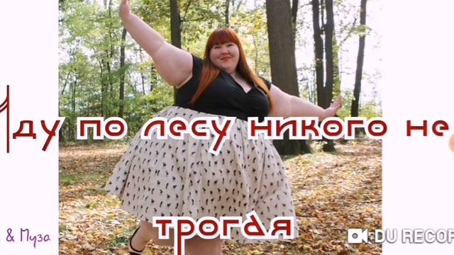 Иду по лесу никого не трогая--автор не известен смотреть онлайн
