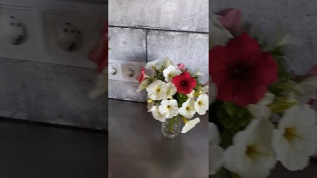 Букеты из петунии. Кларетта, Аморе Мио. смотреть онлайн