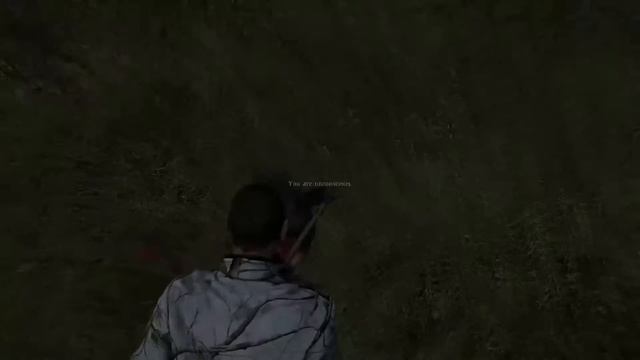 DayZ - Garden Hoe Revenge! смотреть онлайн