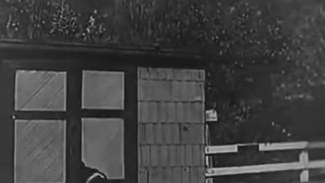 Бастер Китон 