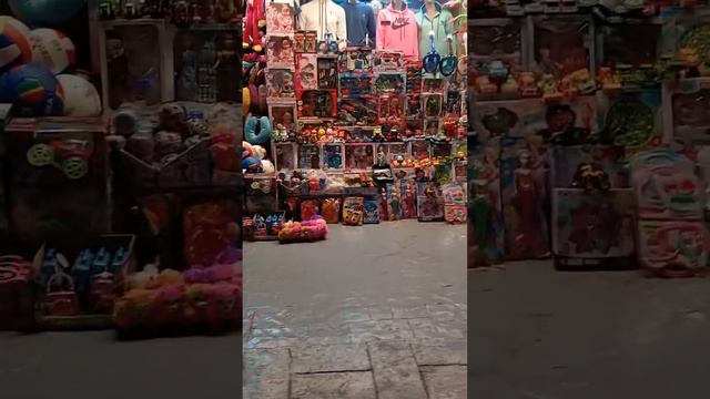 Лев Васильев. Юлия Завальная. обзорная экскурсия по SHARM EL SHEIKH 3 декабря 2023 год. смотреть онлайн