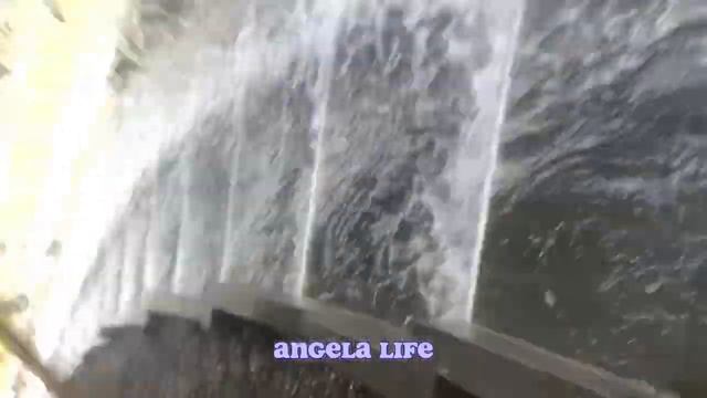 Блог Галицкий лето 2023 Влог Angelina life ✨🧘🏻♀️ смотреть онлайн