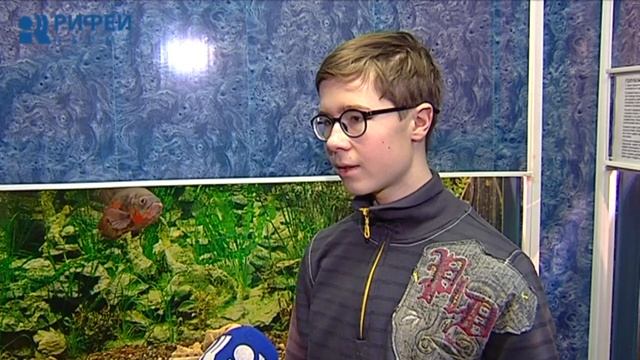 Живой уголок. Экзотические рыбы смотреть онлайн