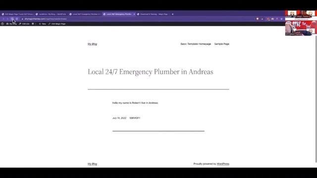 Magic Page Plugin - Add Spintax and Shortcodes For Mass Page Builders смотреть онлайн