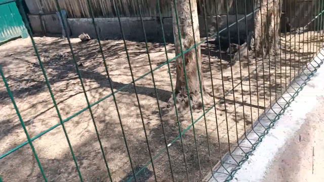Путешествие в Бурабай. 2 -ой день. Просто слишком много материала наснимал😅. смотреть онлайн