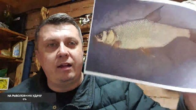 Рыболовные Приключения отгадайте рыбу? смотреть онлайн