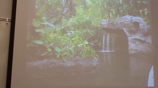 "Growing Disneyland" (PART 2) - Jungle Cruise, with Dr. David John Marley смотреть онлайн