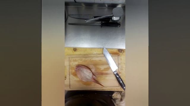 Морской окунь с овощами смотреть онлайн