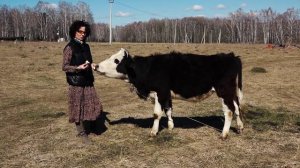 КАК МНОГОДЕТНЫЕ СЕМЬИ РАЗВИВАЮТ СВОЕ ХОЗЯЙСТВО БЛАГОДАРЯ ГОСПОДДЕРЖКЕ