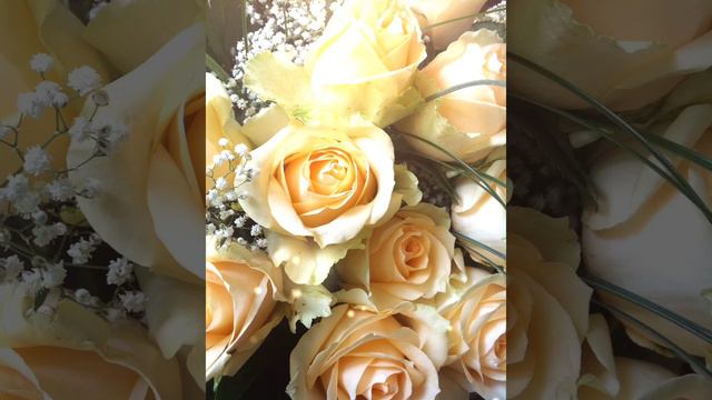 Добрый вечер друзья! Красивого вечера! смотреть онлайн