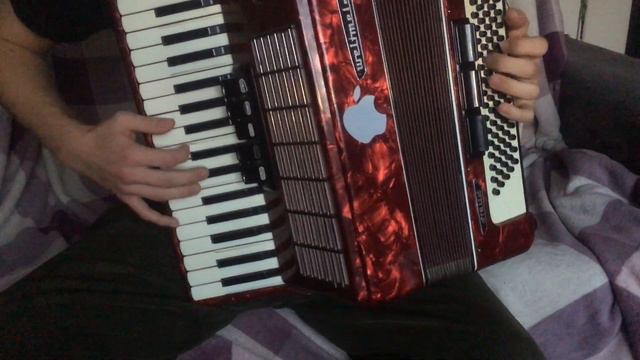 THE HATTERS - Shoot me ( Accordion cover ) смотреть онлайн