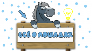 Всё о лошадях. Для детей