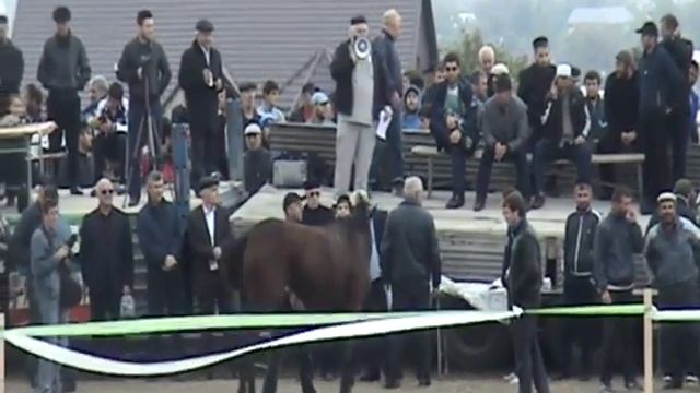 Скачки Губден 6.10.2014 смотреть онлайн