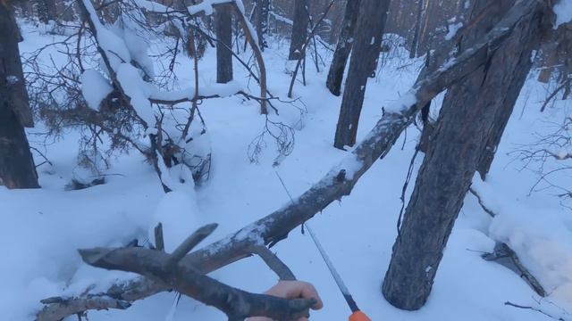 В ЗЕМЛЯНКУ с НОЧЁВКОЙ. ЧУДЕСНЫЙ МОРОЗНЫЙ ДЕНЬ. БЫТ и ЕДА НА ОГНЕ! смотреть онлайн