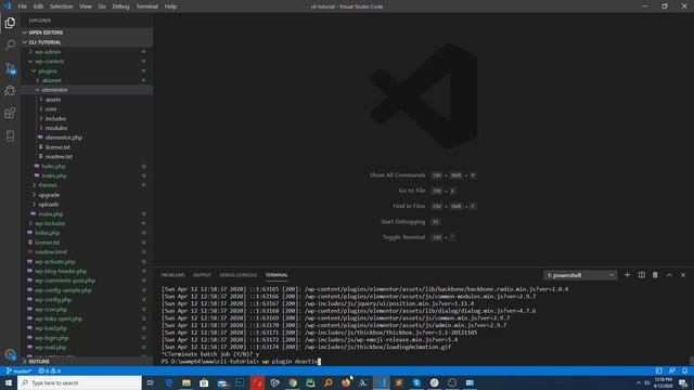 WP CLI Tutorial - Install WP Themes and plugins Using WP CLI смотреть онлайн