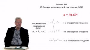 Евсеев А.В. Нормальная физиология. Лекция №17. Электрическая ось сердца. Кровяное давление. 2023