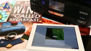 МФУ Epson XP-830 - обзор с Дариной