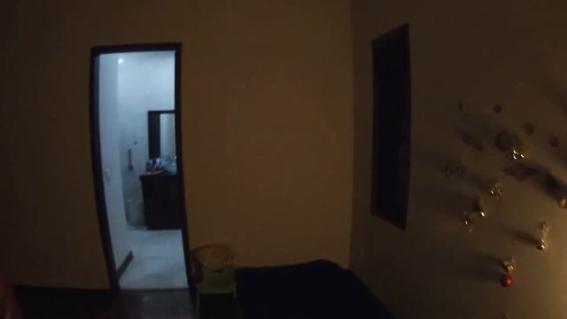 Скорпионы, змеи и лягушки на острове Бали. Снимаю лягушку с потолка. смотреть онлайн