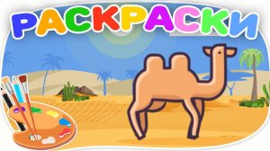 Раскраски с животными. Верблюд - Кит - Летяга. Познавательные мультики для детей