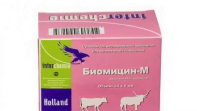 ГНИЛЬЦОВЫЕ БОЛЕЗНИ ПЧЕЛ И ИХ ЛЕЧЕНИЕ || БОЛЕЗНИ ПЧЕЛ смотреть онлайн