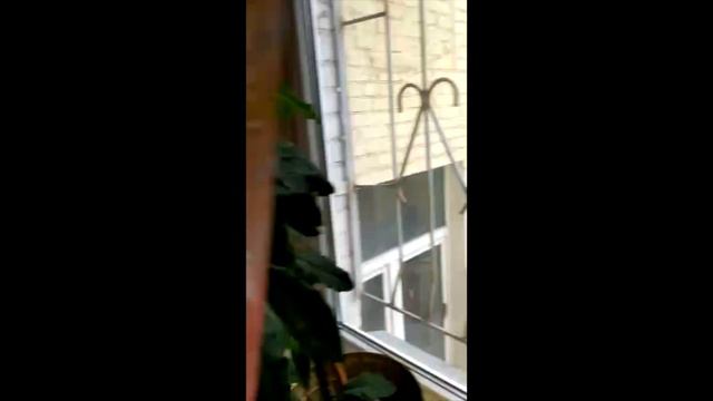 Мой фильм 18 смотреть онлайн