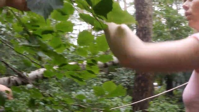 ВЛОГ. Падают березы!/Дачные пруды смотреть онлайн