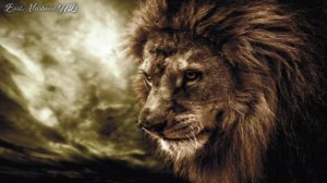 60b87755aa7c063a9420062c