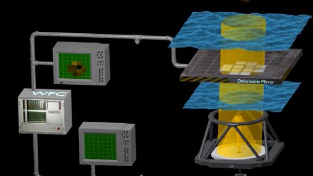 Virtual DM - PadovAdOpt смотреть онлайн