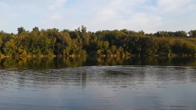 Пруд в Александровке Золочевского района смотреть онлайн