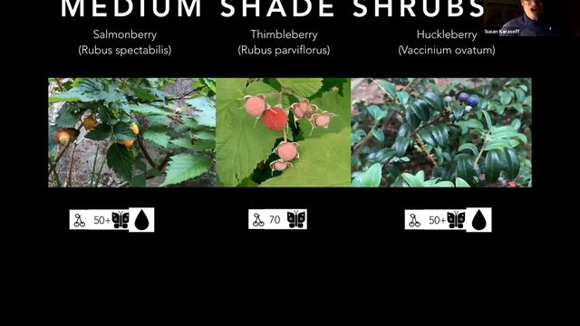 Shade Gardening With California Native Plants, CNPS Yerba Buena Speaker Program