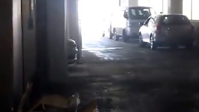 SUZUKI DJEBEL 200, 2003 год смотреть онлайн