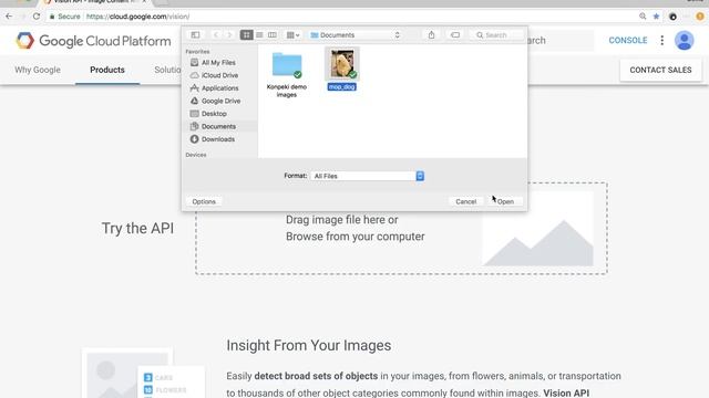 Cloud Vision API demo смотреть онлайн