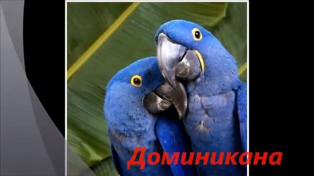 Росс тур-полное собрание путешествий. смотреть онлайн