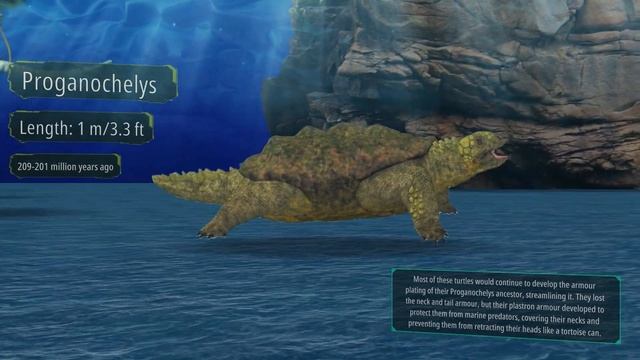 Turtle Evolution by Years | In one minute смотреть онлайн