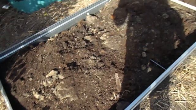 Ограничитель для грядок 1х6 м из оцинкованного профиля (высокая грядка высотой 19 см) смотреть онлайн