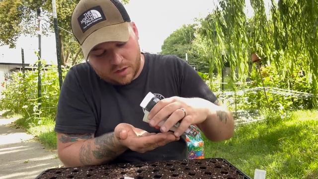 Dahlias are starting to bloom and I’m starting seeds! ?? || Visit Our Garden смотреть онлайн