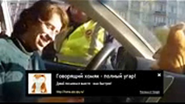 Право стояние ДПС и хомячка од н на один , кто же победит смотреть онлайн