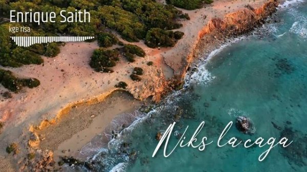 Niks la caga - Enrique Saith